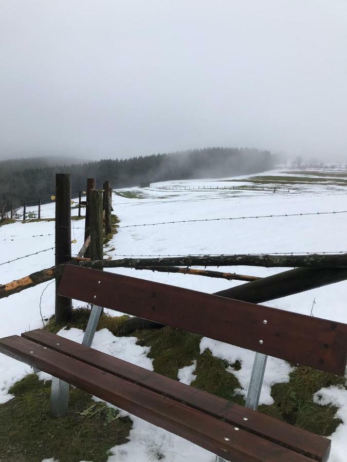 Ferienhaus Schneeweiss Винтерберг Экстерьер фото